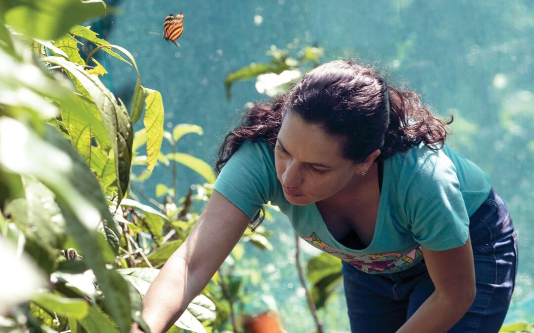 Naturaleza y educación